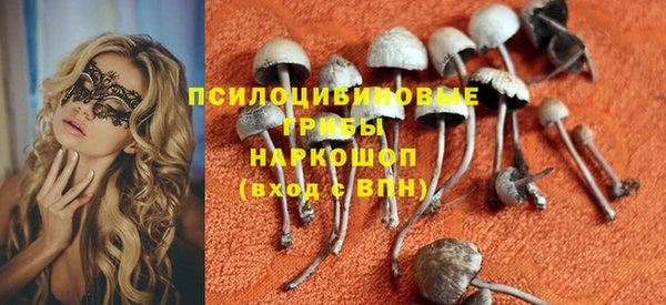 эйфоретик Белокуриха