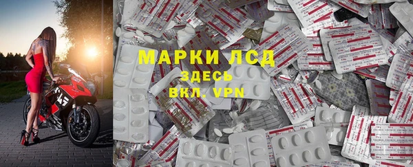 эйфоретик Белокуриха