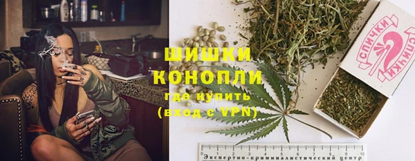 ГАЛЛЮЦИНОГЕННЫЕ ГРИБЫ Белоозёрский
