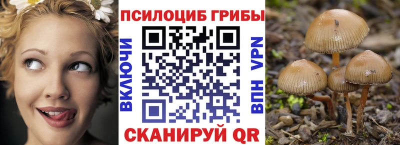 хочу   Обь  Псилоцибиновые грибы Magic Shrooms 